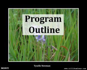 Program Outline button